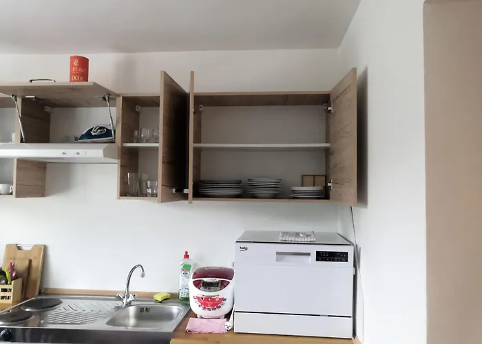 Bolevec Pro Rodiny S Detmi A Zviratky דירה